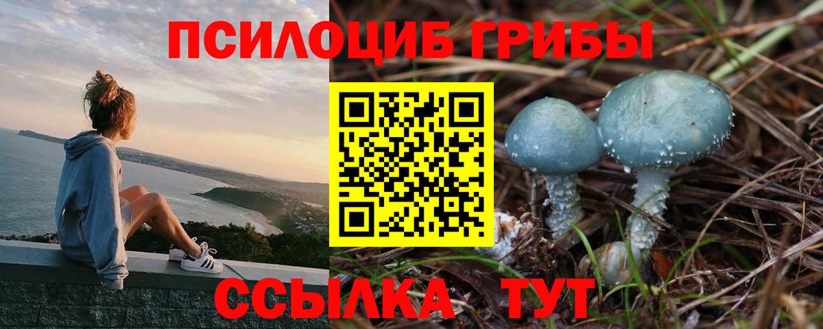 Псилоцибиновые грибы Cubensis Керчь